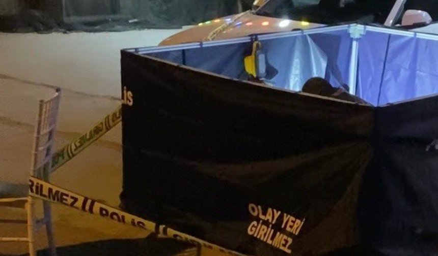 Aydın'daki 'kanlı' kavganın şüphelileri polise teslim oldu