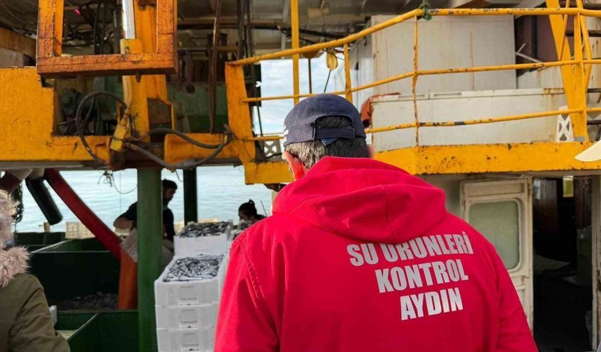 Hamsi kotası için Didim'de denetim yapıldı