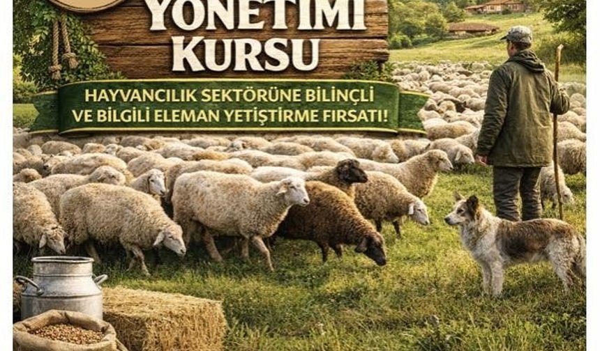 Karacasu'da sürü yönetimi kursu başlıyor
