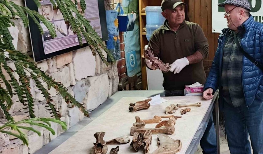 Kuşadası kıyılarında fırtına sonrası ortaya çıkan kemikler incelendi