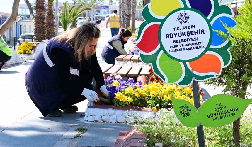 Aydın Büyükşehir'den Didim'e renkli dokunuş
