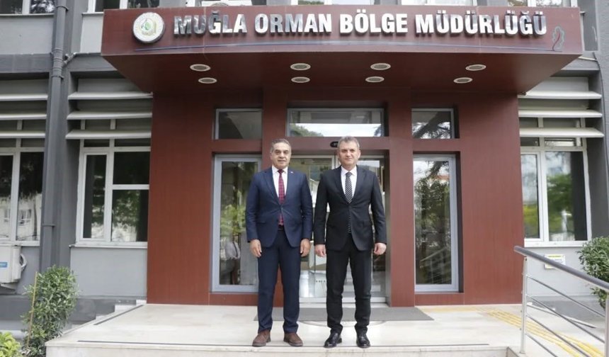 Aydın'da kestane ağaçları biyolojik mücadele ile korunuyor