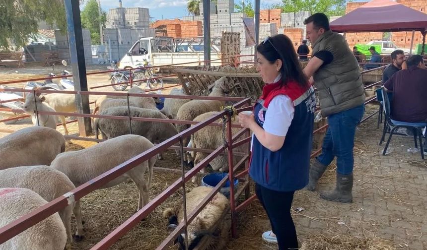 Aydın'da Kurban Bayramı boyunca denetimler sürecek