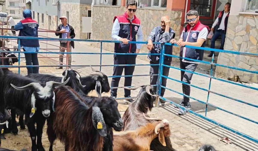 Bozdoğan'da kurban satış yerleri denetlendi