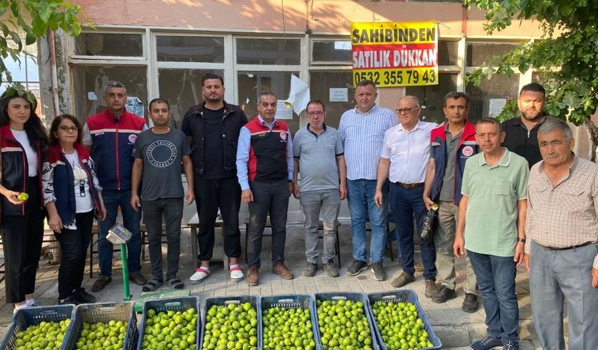 Aydın'da ilek pazarı denetimleri aralıksız sürüyor