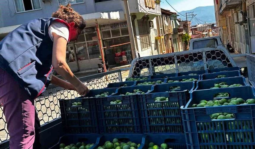 Bozdoğan'da İlek denetimleri aralıksız sürüyor