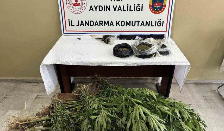 Efeler'de uyuşturucu operasyonu