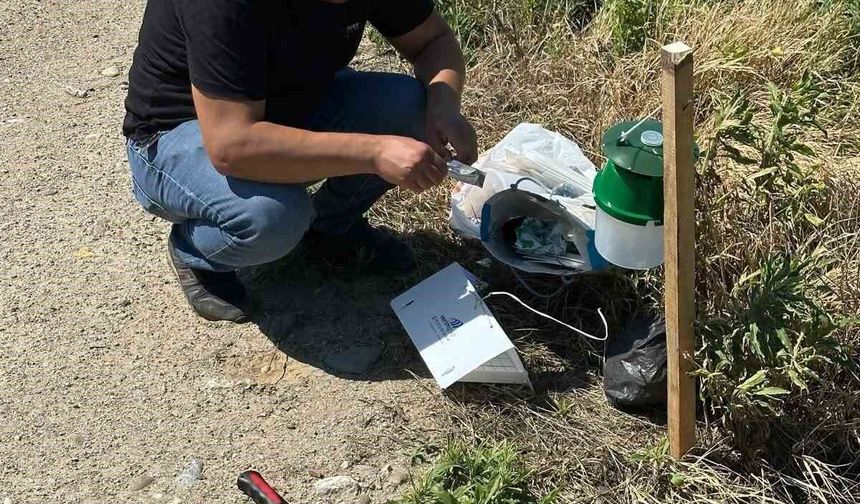 Köşk'te pamuk tarlalarına zararlı takibi için monitör tuzak kuruldu