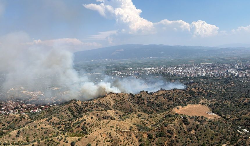 Nazilli’de zeytinlik alanda yangın çıktı