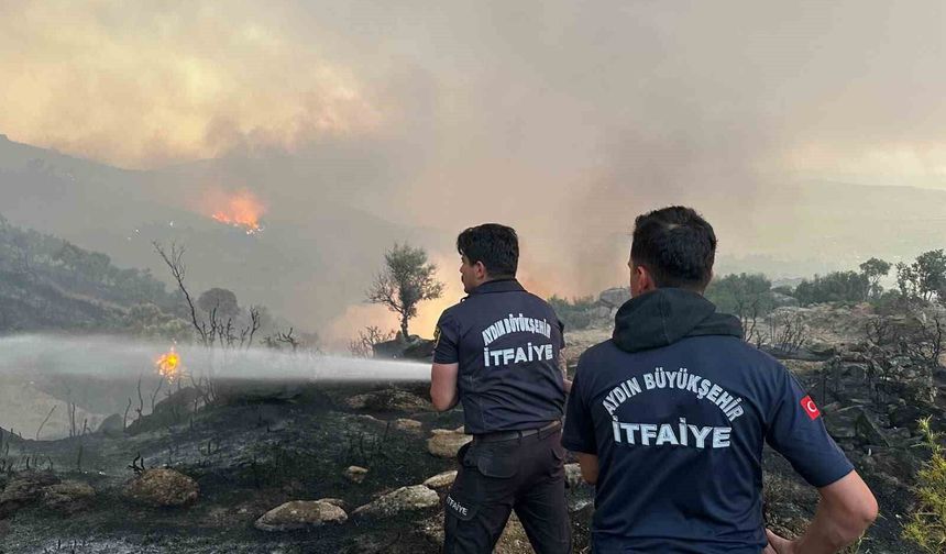 Aydın Büyükşehir itfaiyesi 1 haftada 446 yangına müdahale etti