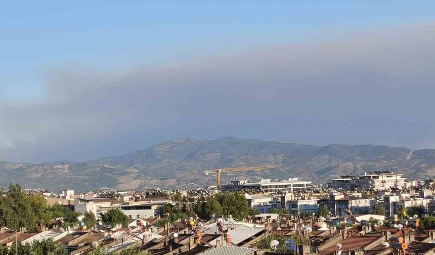 Çine yangının dumanları Efeler'e ulaştı