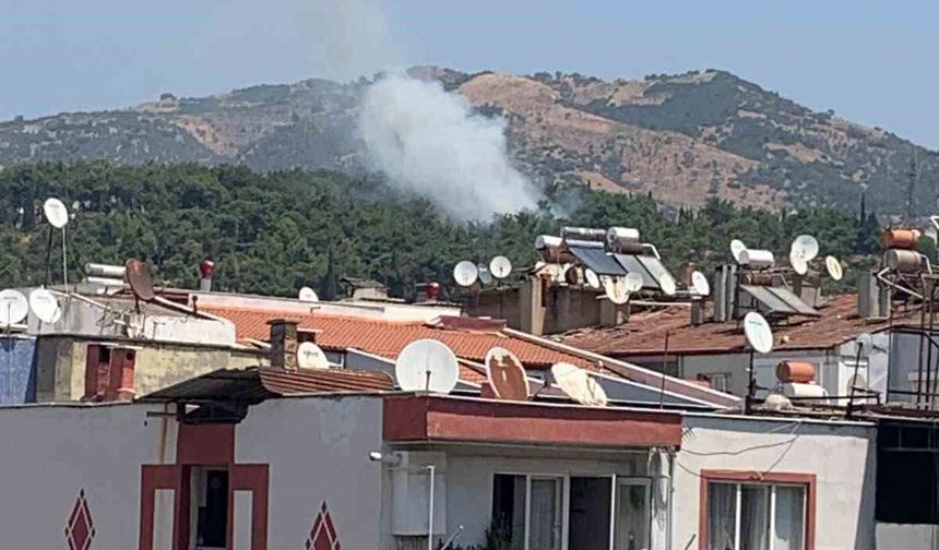 Mesire alanındaki yangın kısa sürede söndürüldü
