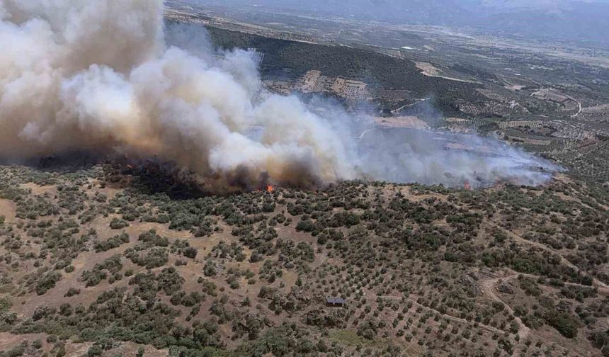 Yazıkent'te yangını büyüten rüzgar bugün de etkisini sürdürecek