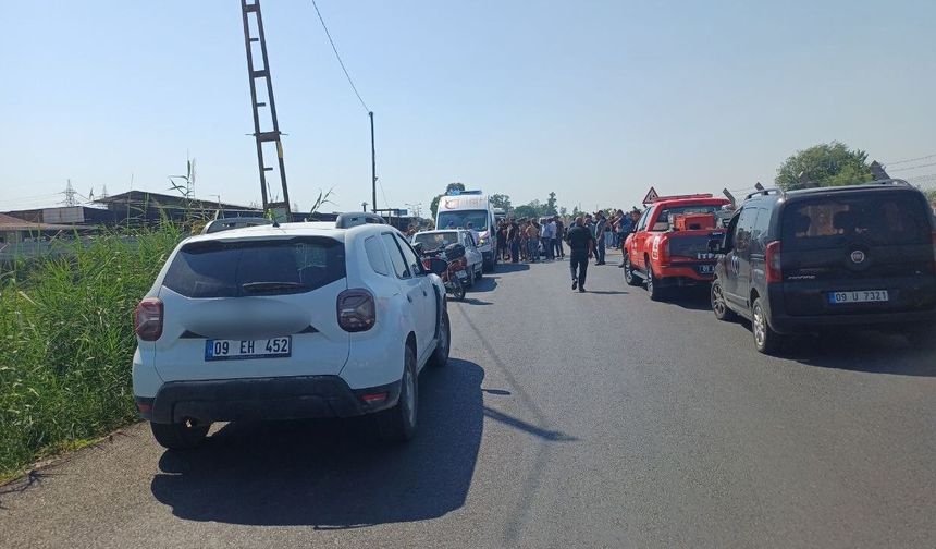Serinlemek için sulama kanalına girdi, kısa sürede gözden kayboldu