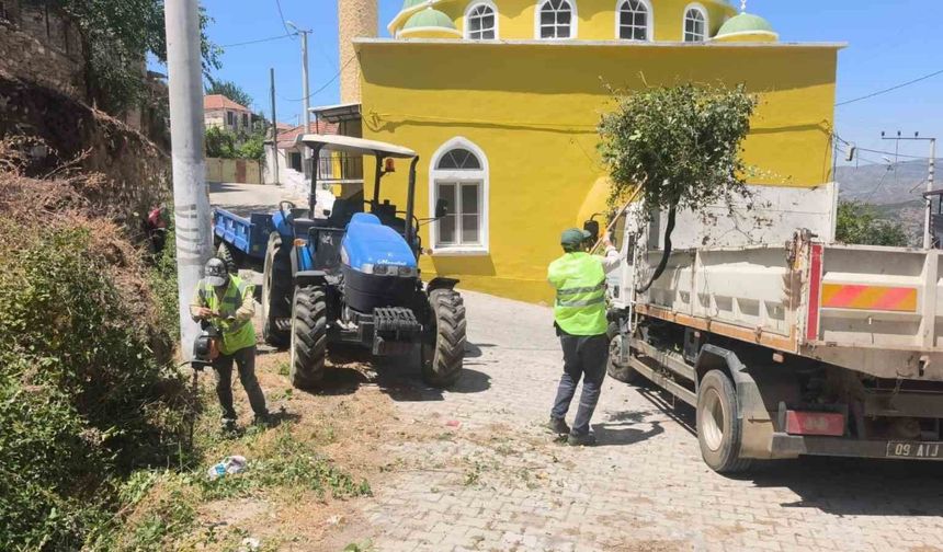 Aydın Büyükşehir'den Karpuzlu'daki yeşil alanlarda bakım ve düzenleme çalışması
