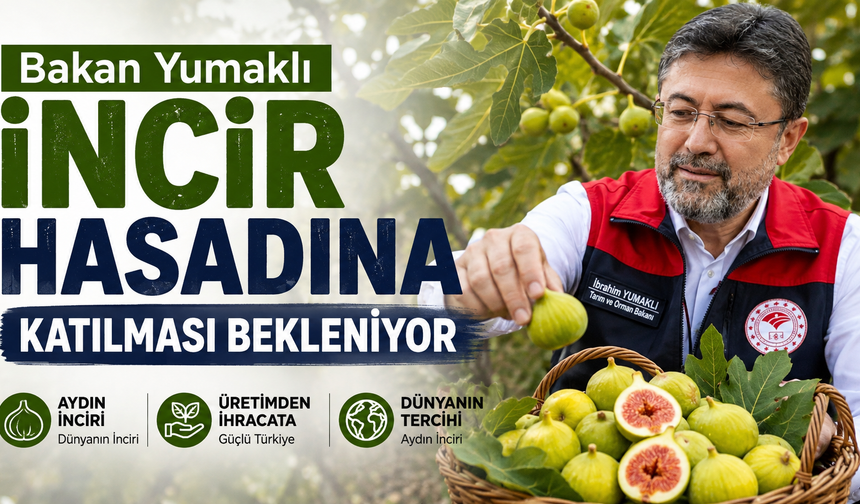 Bakan Yumaklı’nın incir hasadına katılması bekleniyor