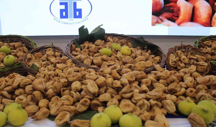 Aydın'da sezonun ilk kuru inciri 850 liradan satıldı
