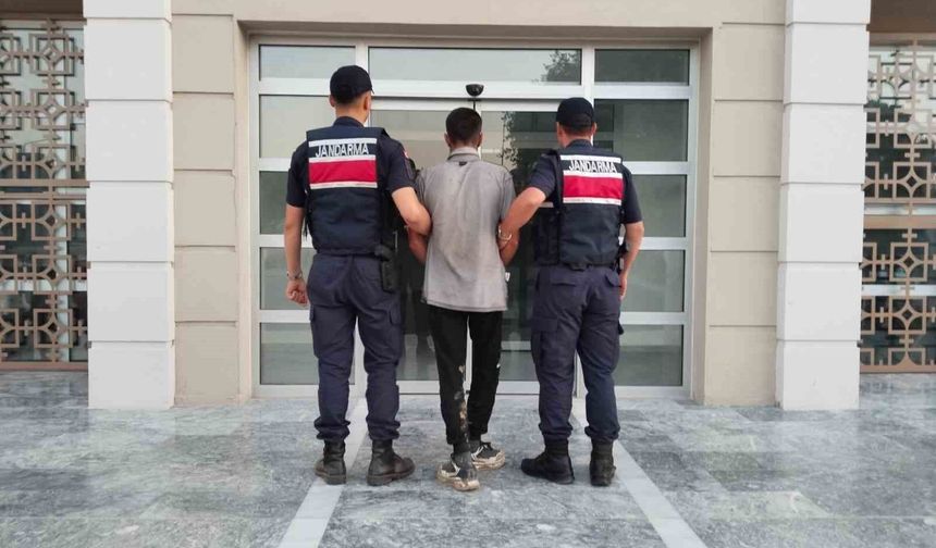 Germencik'te incir hırsızlığına suçüstü