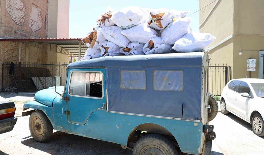 İnsanlar aç kalmasın diye üretiliyor, hayvan yemi olarak satılıyor