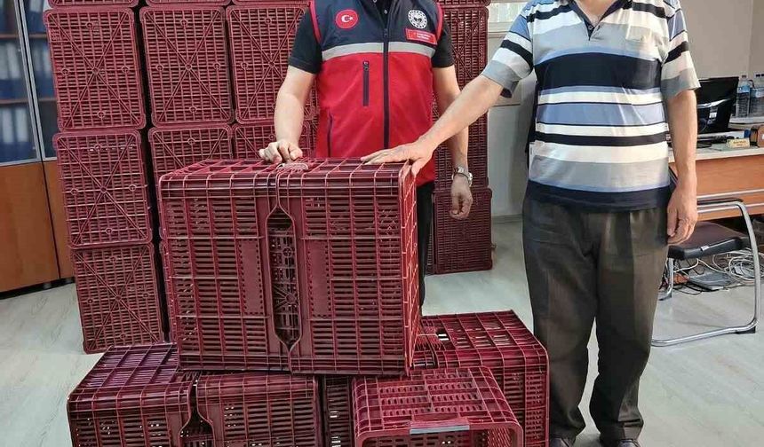 Köşk'te incir üreticilerine hibeli kasa desteği