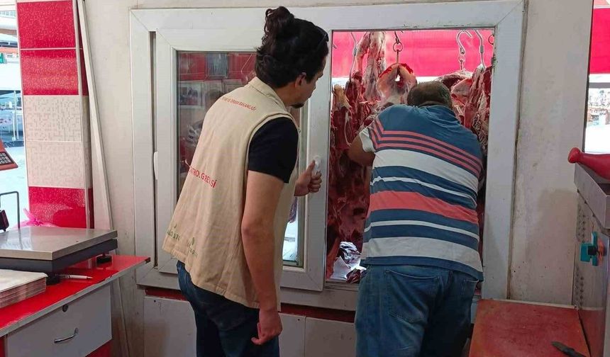 Söke'de gıda işletmelerine yönelik denetimler sürüyor