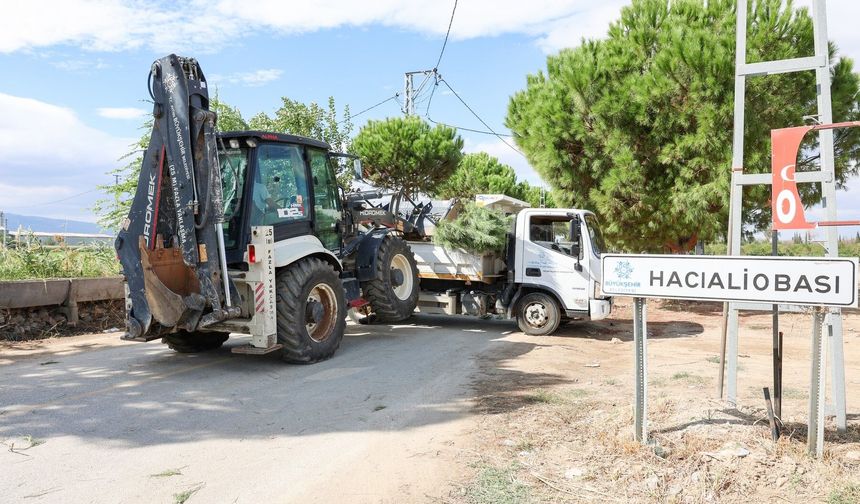 Hacıaliobası'nda yeşil alanlar yenilendi