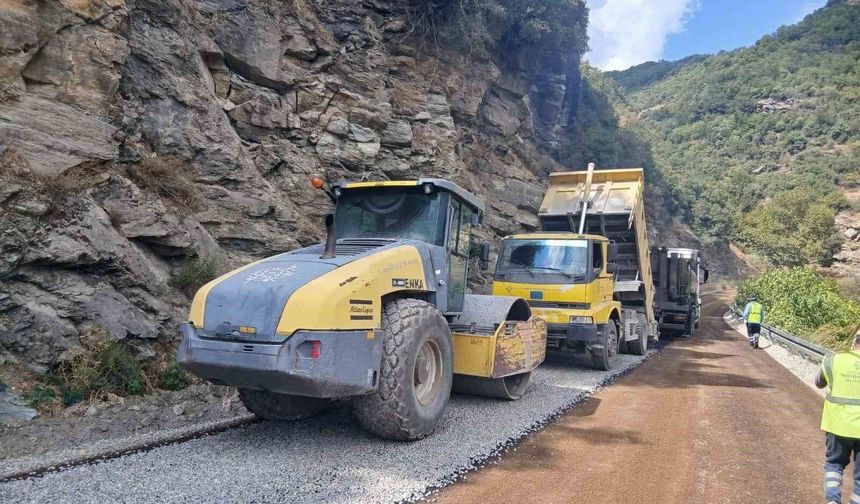 Aydın'ın 17 ilçesinde yollar için eş zamanlı çalışma