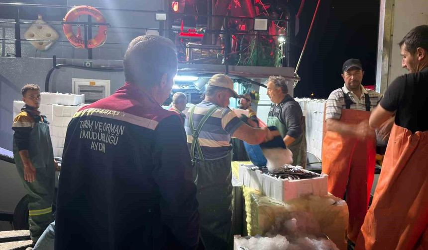 Didim'de 'Hamsi Kotası' denetimi yapıldı