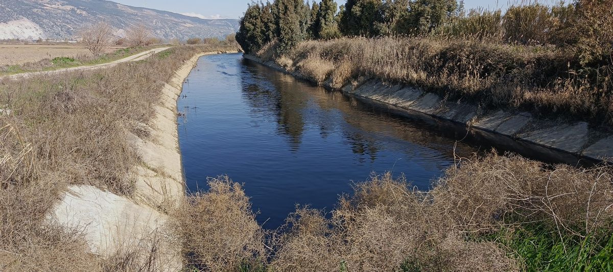 Menderes Nehrinde Kirlilik (5)