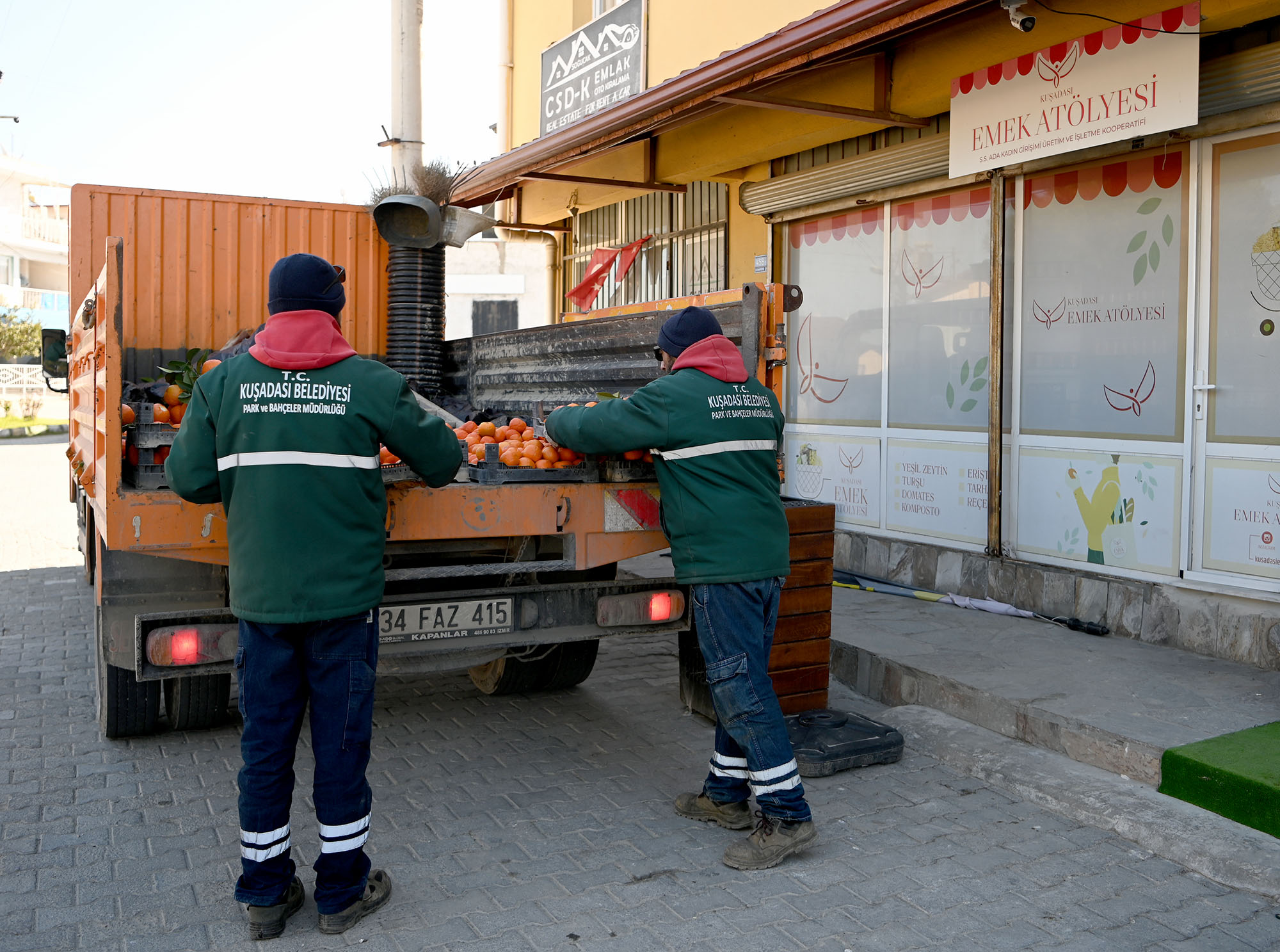 Turunç Hasadi (8)