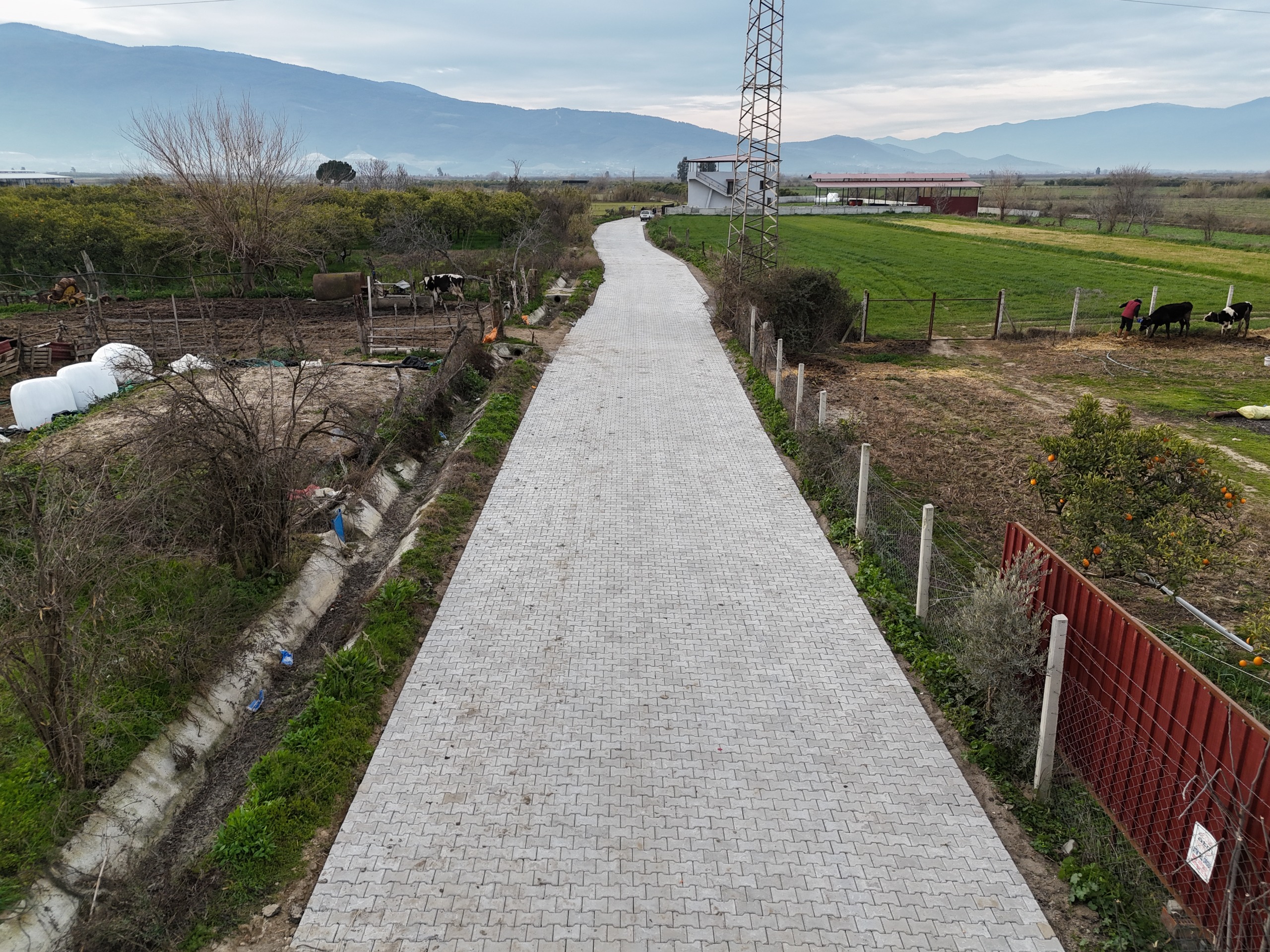 Yol Çalışması (1)