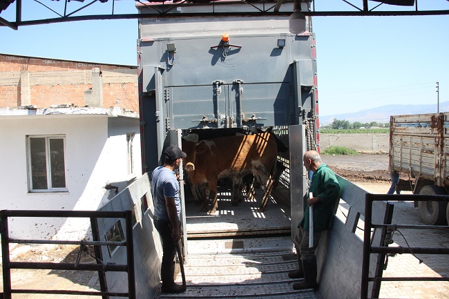 A W471077 05