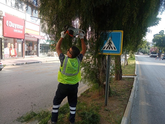 Fotoğraf (5)-28
