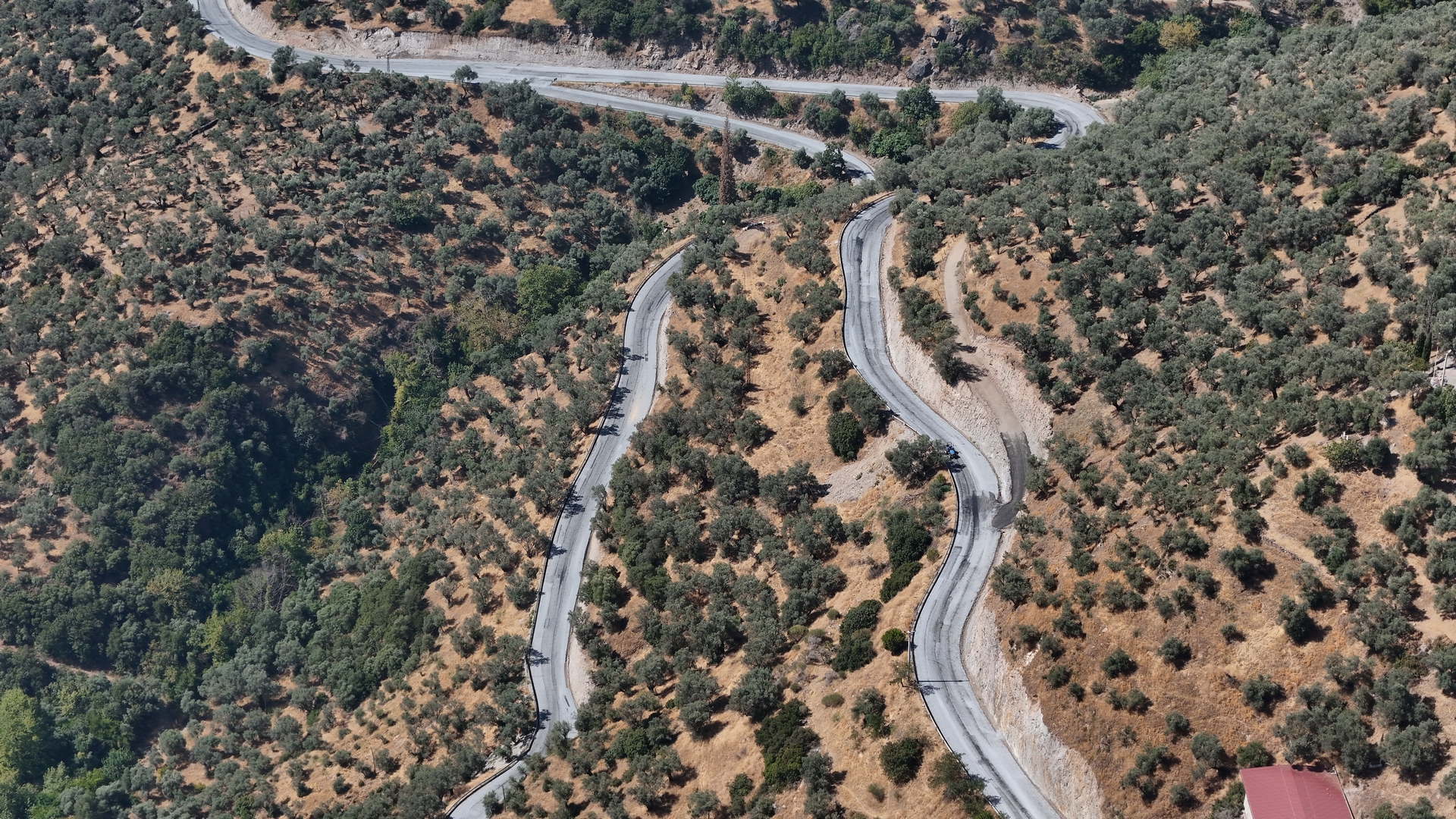 Fotoğraf (5) (4)-1