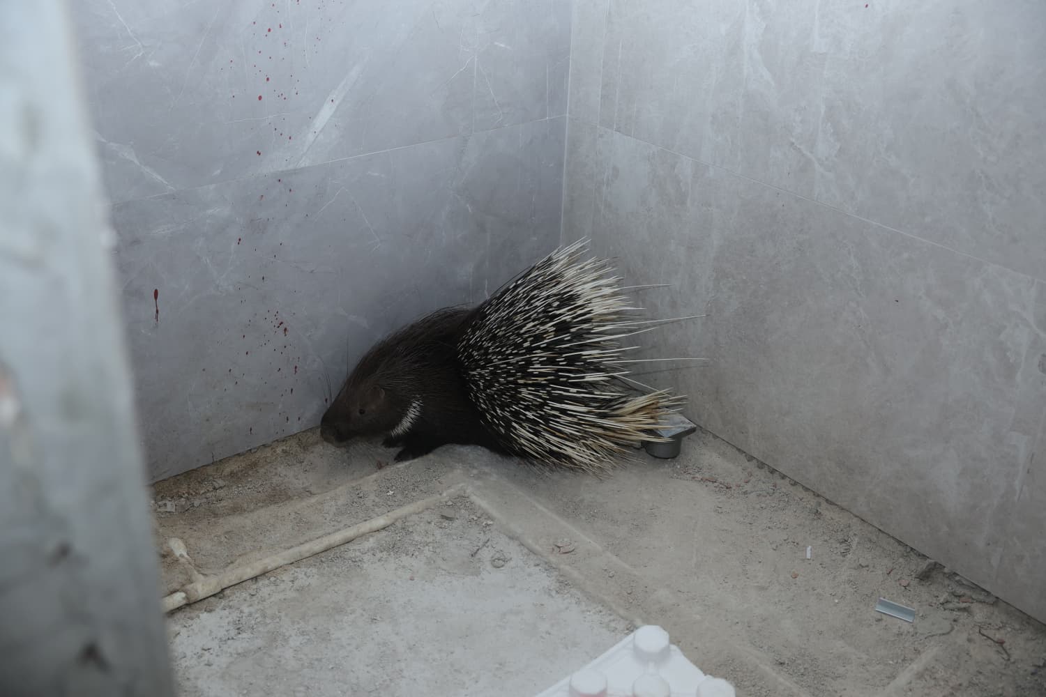 Whatsapp Image 2025 12 05 At 14.18.01 (2)