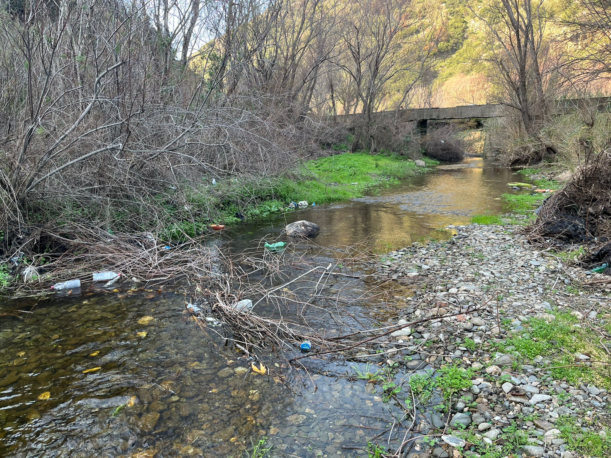 Whatsapp Image 2026 01 07 At 14.25.00 (1)