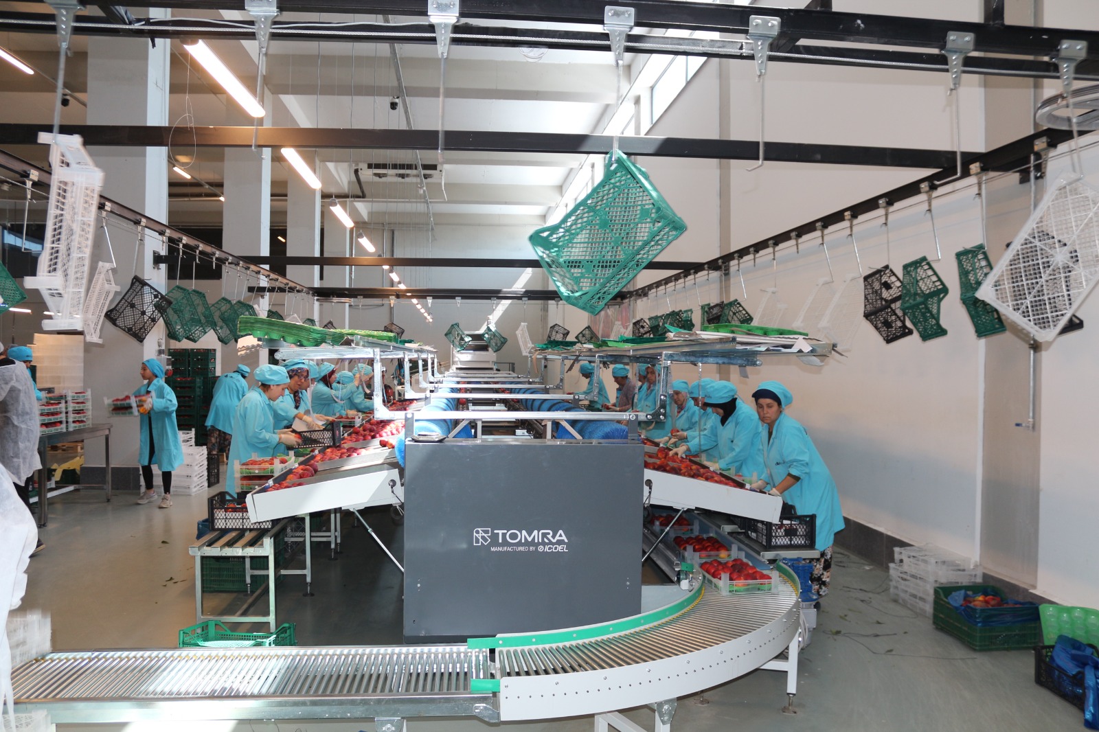 Whatsapp Image 2026 01 28 At 11.56.34