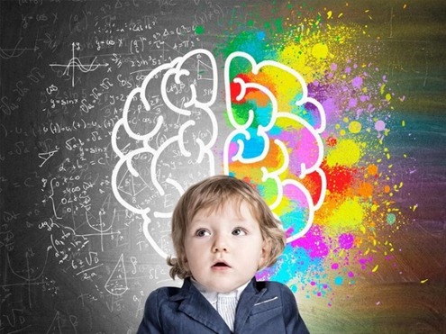 Whatsapp Image 2026 02 11 At 17.51.05