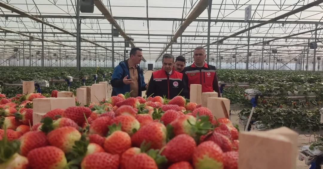 Whatsapp Image 2026 03 06 At 12.18.04