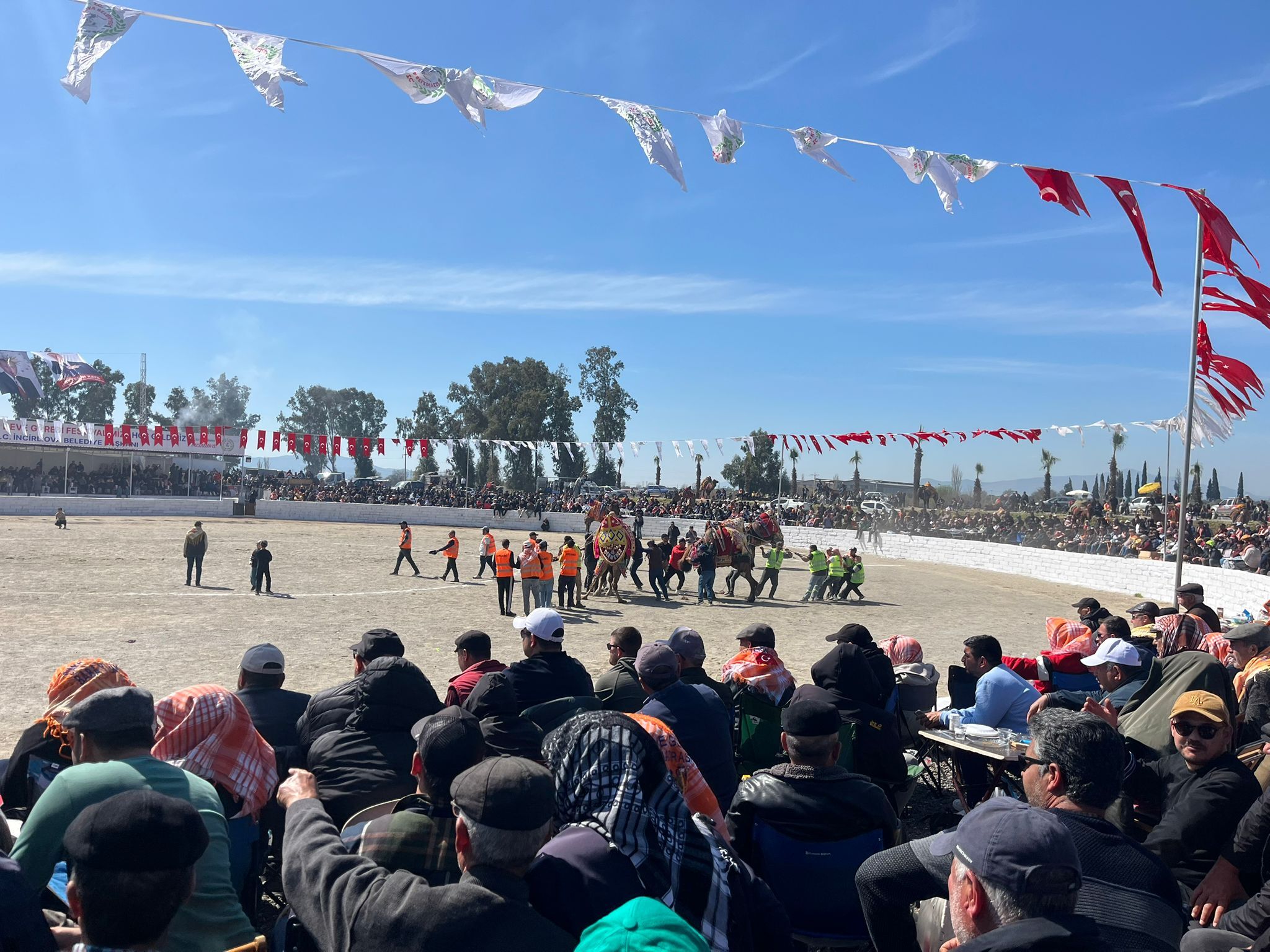 Whatsapp Image 2026 03 08 At 14.54.37