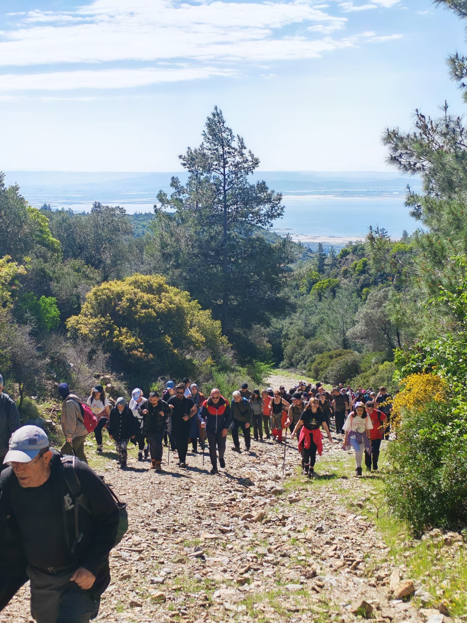 Fotoğraf (3) (12)-1