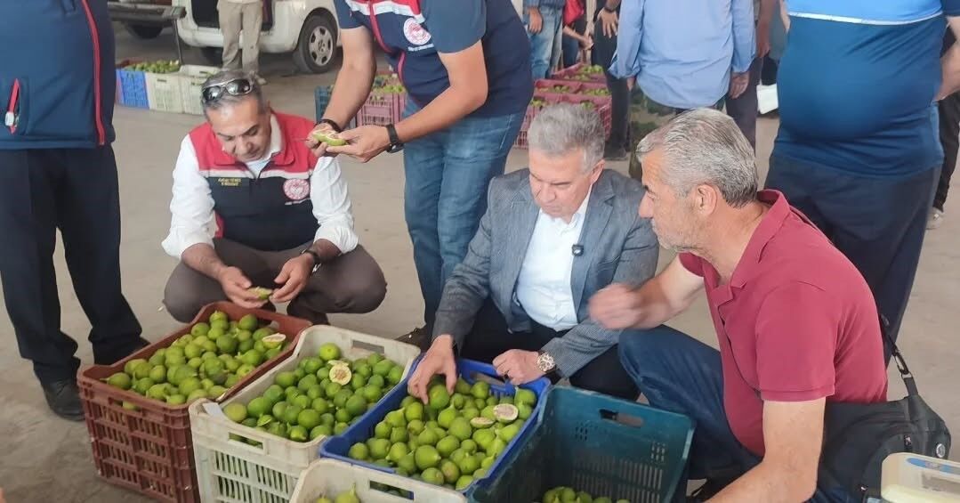 Buharkent'te ilekler, tezgahta incelendi