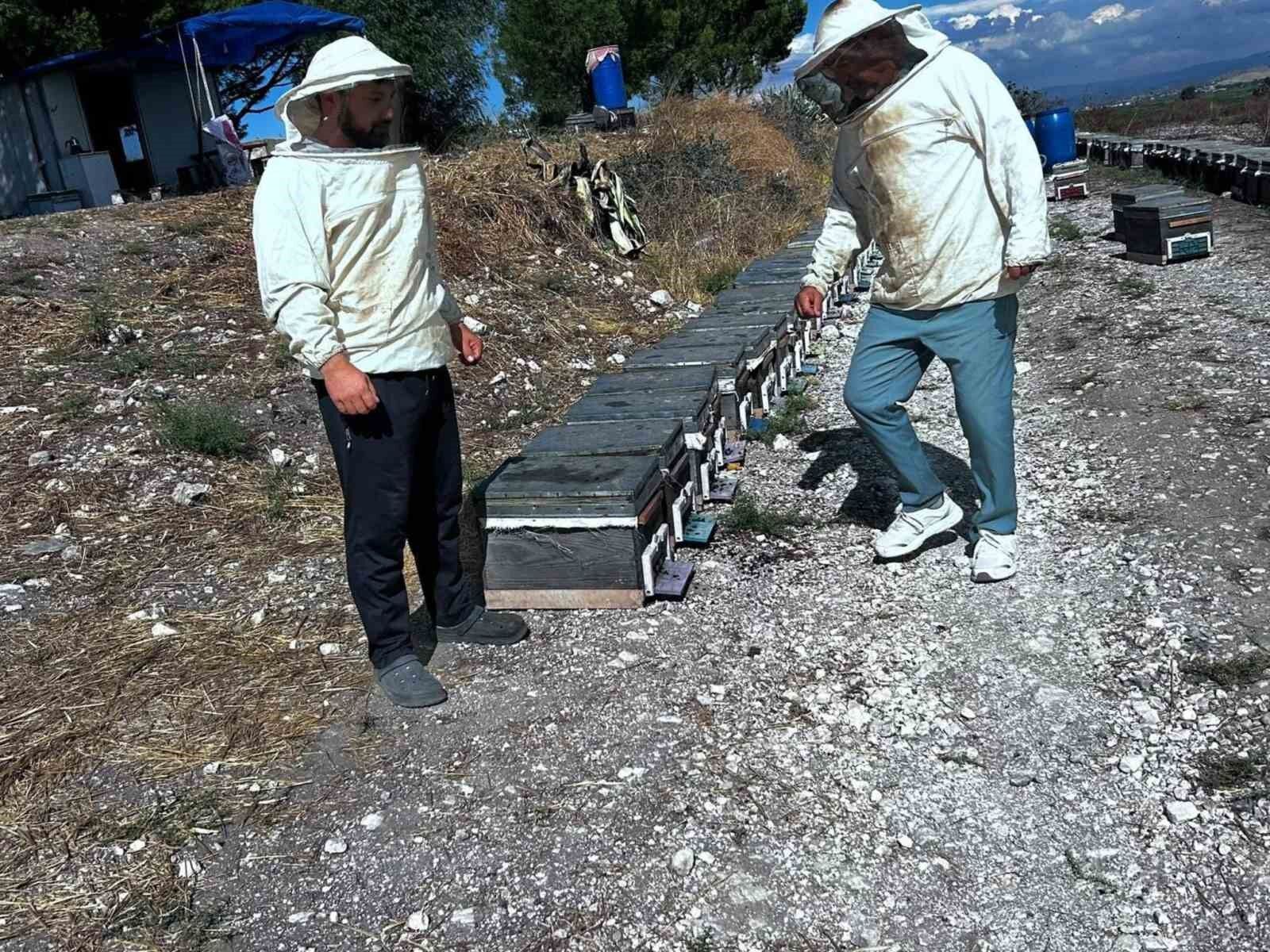 Arıcılığın geliştirilmesi için saha çalışmaları sürüyor
