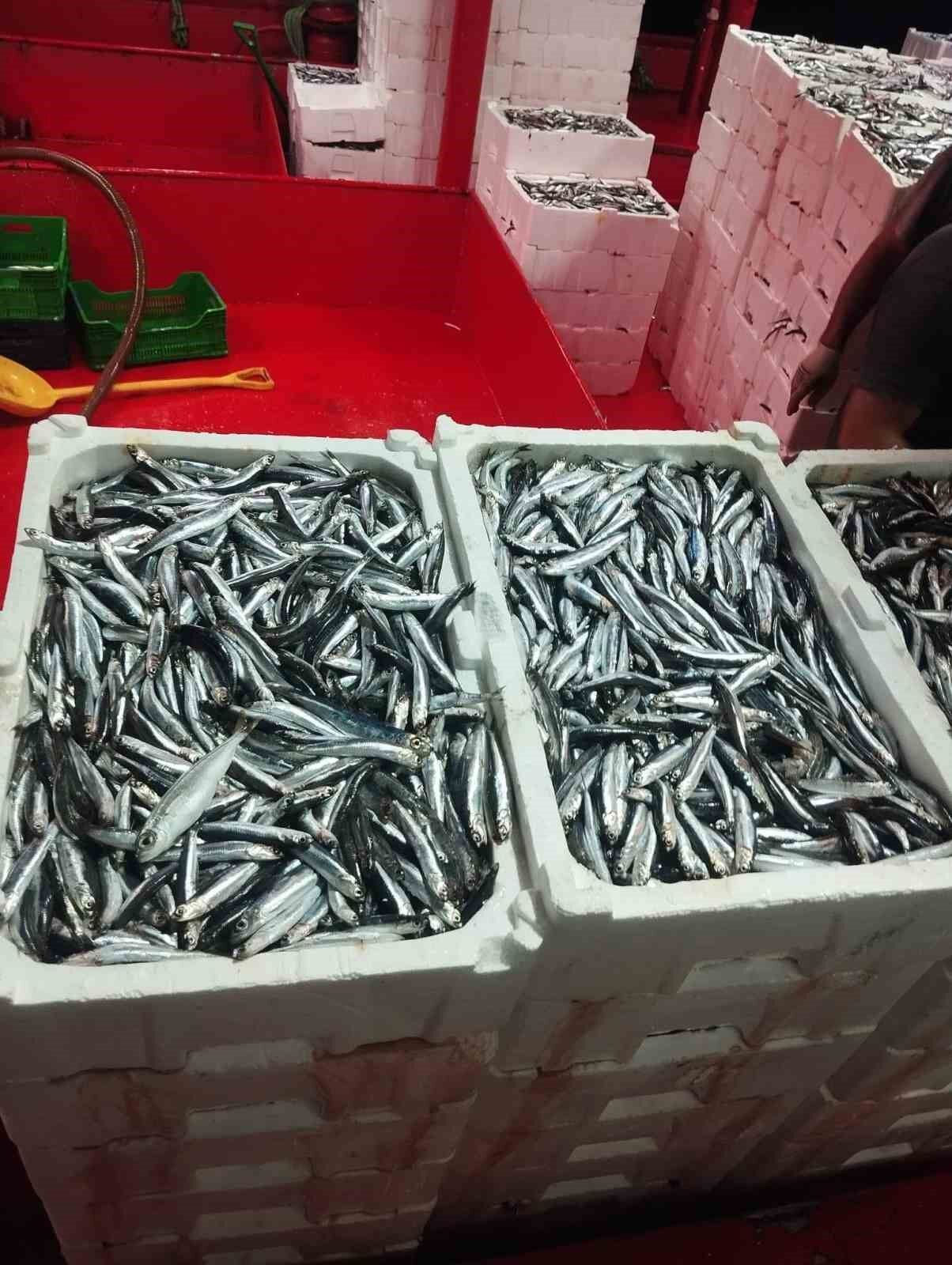 Didim'de hamsi denetimi sürüyor