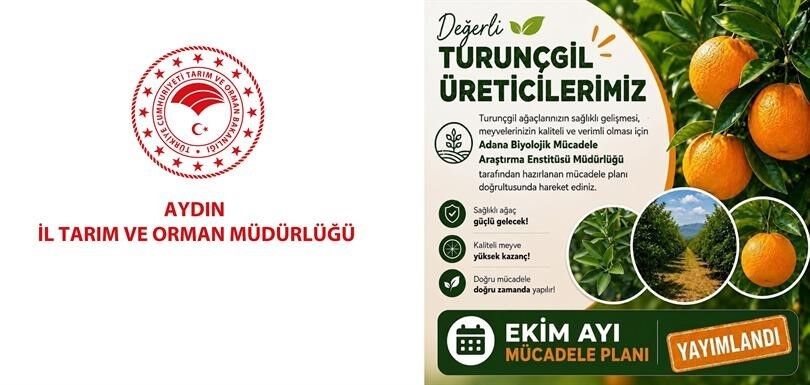 Aydın'da turunçgil bahçeleri için Ekim ayı mücadele planı açıklandı
